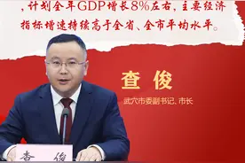 海报丨港产城融合 武穴开新篇图片