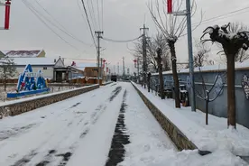 延庆后黑龙庙村乡村振兴新篇章：西餐、羊驼科技小院、山脚下农场图片