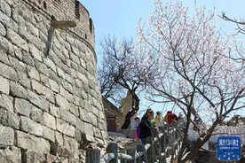 北京慕田峪长城山花节开幕图片