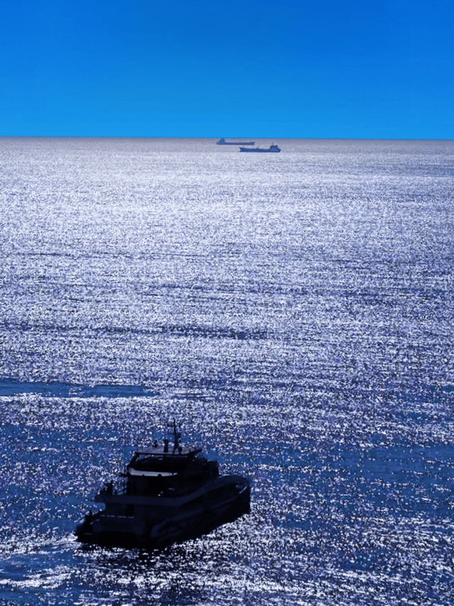 七夕乘船去看奥帆那片“浪浪海”，让爱更热烈！