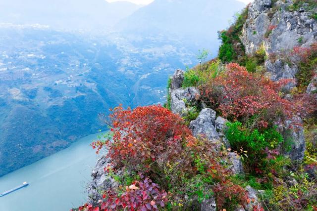 巫峡红透时，才懂中国秋天的壮阔