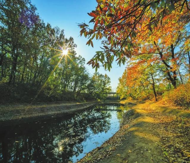 溪如画，影成诗……被舜耕山的初冬美景治愈了！