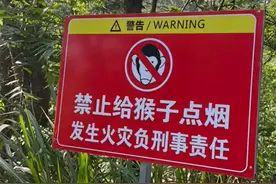 安徽一林区“别给猴子点烟”警示牌火了 网友：有故事！图片
