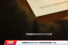 万盛股份(603010.SH)：部分募投项目延期、终止视频封面