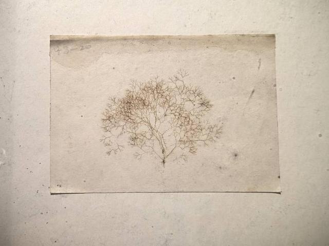这里是青岛｜海大海洋生物博物馆免费开放，3000余标本展现海底奇幻