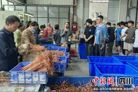 绵阳游仙：“访企拓岗”助力高校毕业生就业图片