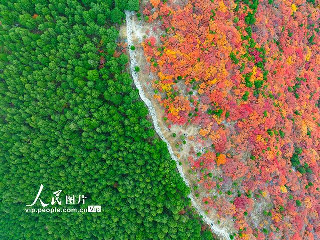 山东济南：看秋色“平分”