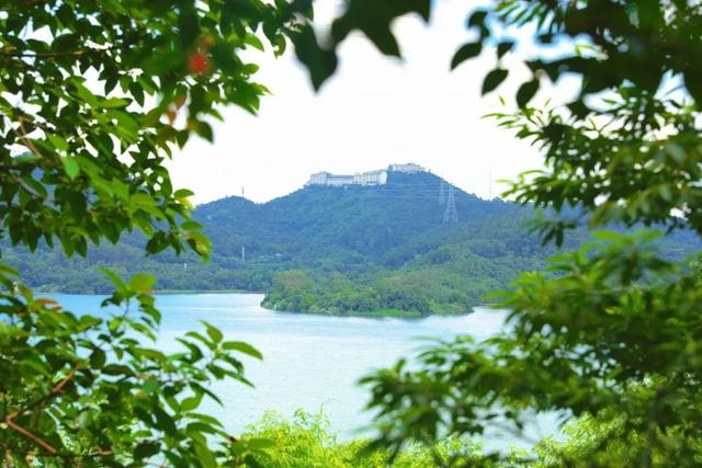 7公里黄金绿道！一天尽揽湖光山色