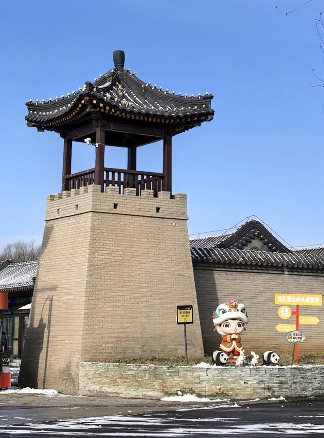 雪后的大运河森林公园，活力满满