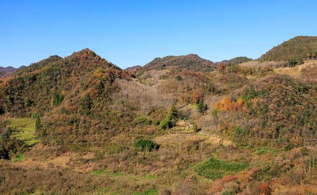 诗画冬日鹤峰：高原大地似锦绣