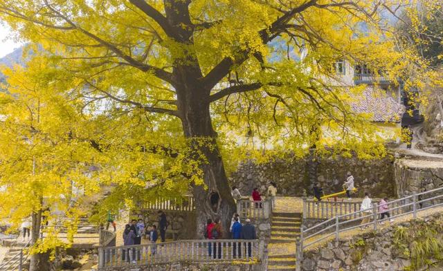 秋日“上”策！“顶级”仪式感做这些就够