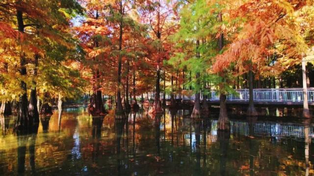 人人人人人!今天常州热度爆了