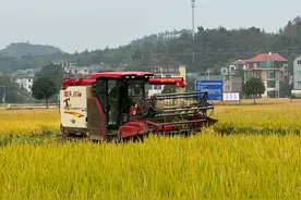 32斤的萝卜、67.2斤的养殖青鱼……浙江2024年度农业之最揭榜图片