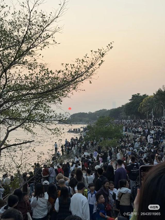 “春运都没这么多人”！深圳知名景区刷屏，网友纷纷“劝退”！