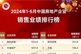 1-5月长沙房企销售榜公布，哪些项目卖得好｜2024夏日好房节图片