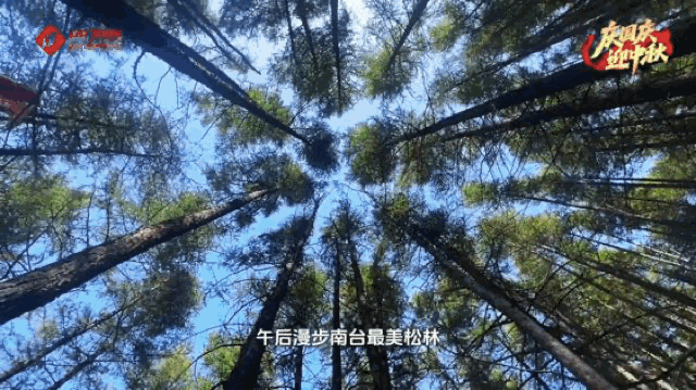 走，去五台山！| “找回自在”·身心归处是青山