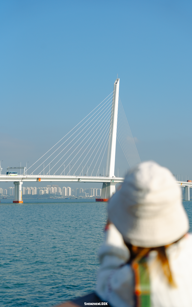 “看牛看海看夜景，深圳骑行路线精选”