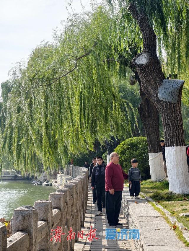 一年四季 泉在济南丨赴一场冬日湖畔之约，且看诗意的泉城济南