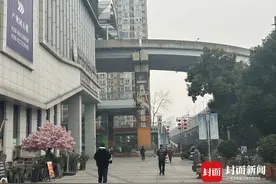 熊猫基地公交线运力增加50% 成都“最忙公交枢纽站”这样保障春运丨新春走基层图片