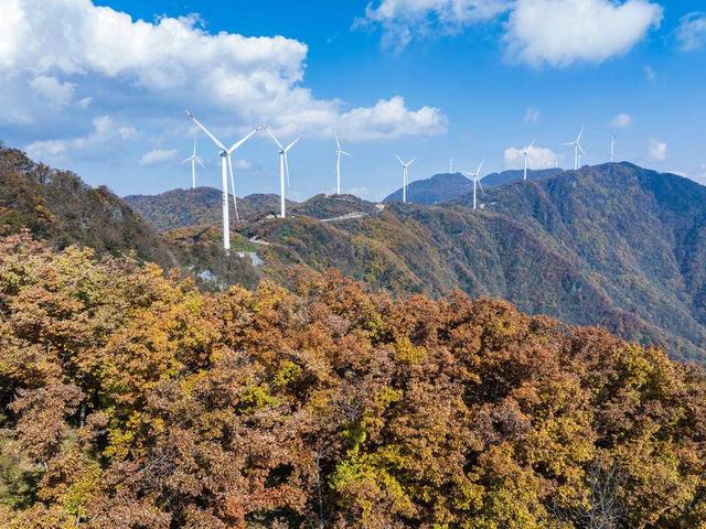 保康：彩林入画醉横冲 层林尽处听风吟