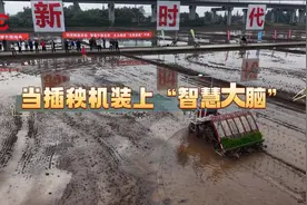 黑科技下田！眉山无人驾驶插秧机“秀操作”：1小时能插5亩田图片