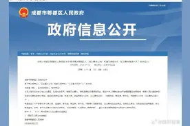 成都“砸车侠”焦大银获授见义勇为公民图片