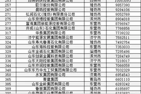 110万亿！2024中国企业500强发布 潍坊市6家上榜图片