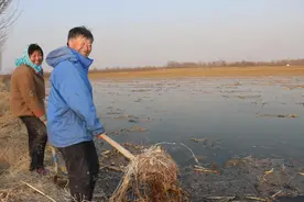 破解浇地难！沾化区黄升镇民生水利工程获群众12345热线点赞图片