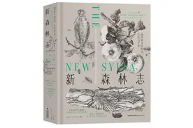 伊夫林和《森林志》：树木、森林和木材如今仍扮演着重要角色图片