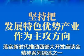 坚持把发展特色优势产业作为主攻方向——落实新时代推动西部大开发座谈会精神系列综述之一图片