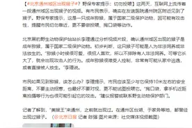 北京通州城区出现猴子？野保专家提示：切勿投喂图片