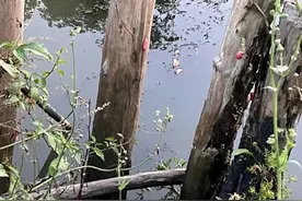 多地已出现！紧急提醒：千万别吃错，严重可致死图片