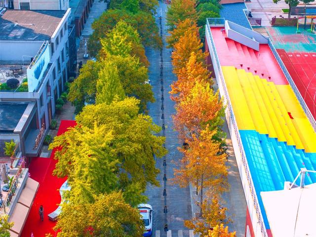 武昌街头层林尽染，如一幅古城油画等您来欣赏