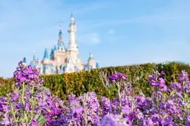 免门票、半价票！迪士尼和环球影城等多个乐园为她们推出优惠图片