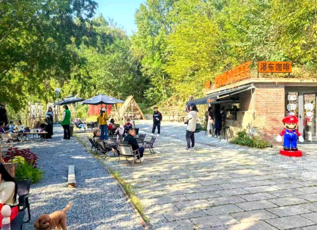 肥东县把“村咖”开进风景里