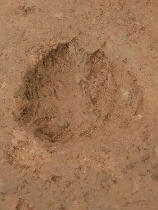 来洛阳，感受一秒穿越隋唐盛世！