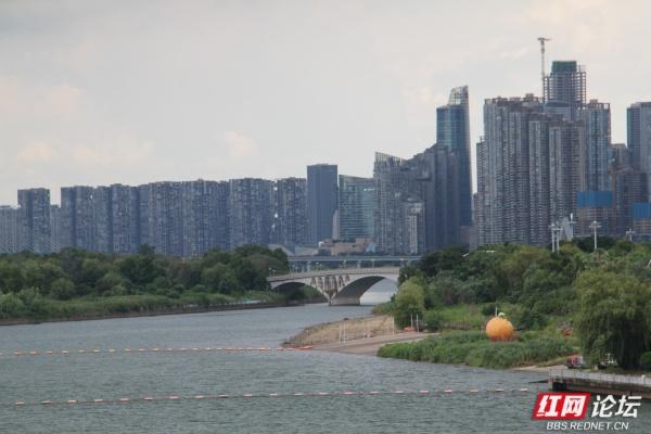 漫步湘江景：城市景观的明暗写意画
