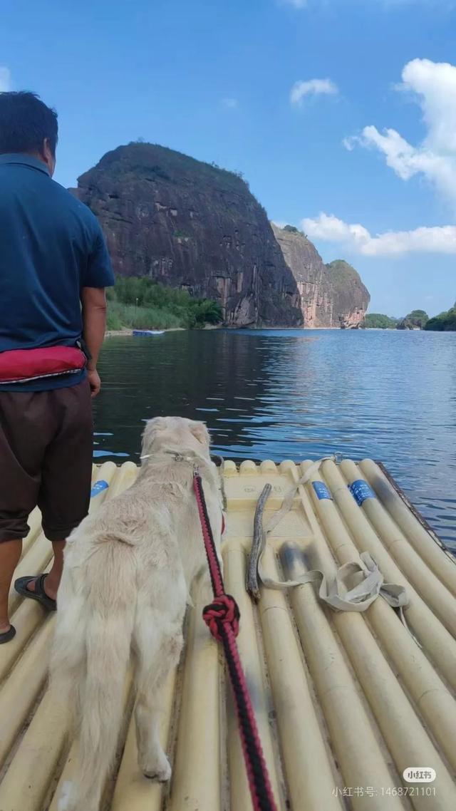 滑板耶耶帅气出街，打卡道家仙山！龙虎山宠物友好景区实锤了，快带上毛孩子来畅玩仙境福地！