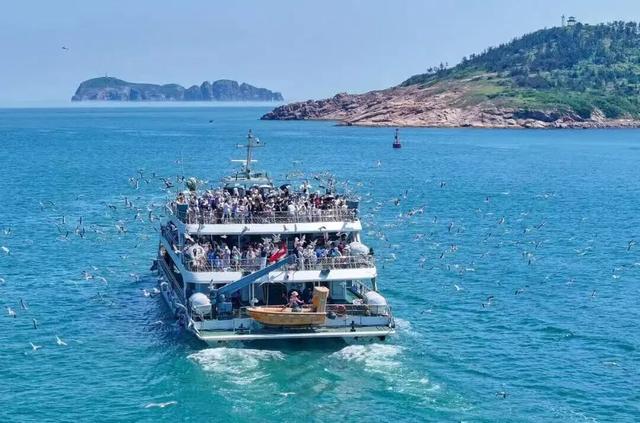 治愈天花板！快来“鸥”遇冬日山东