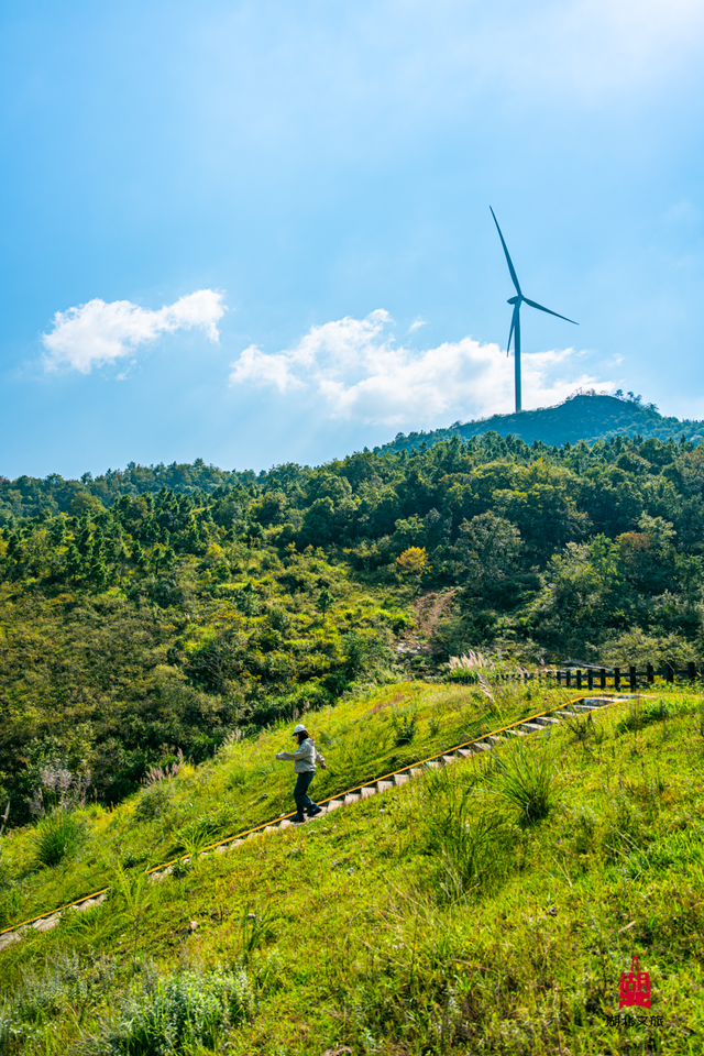 想追风，去团风！