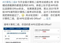 WPS活成了年轻人想要的样子图片