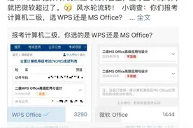 WPS活成了年轻人想要的样子图片