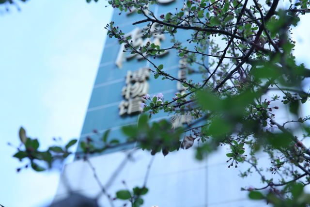 金秋十月去哪儿 万千气象成都行｜成都文博场馆超多活动等你来