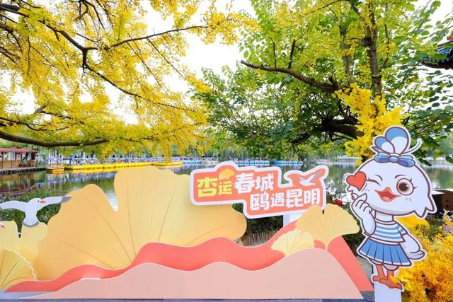 昆明人速藏！2025赏杏观鸥季专属地铁福利来啦~