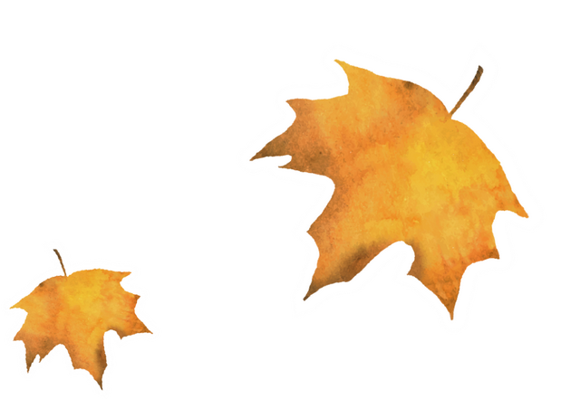 快来“薅羊毛”！金山这些景点限时免费