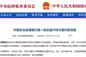 中国农业发展银行原一级总监卢纯才被开除党籍图片