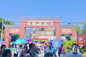 非遗变“平台”，阳春借助重阳古墟打造中草药集散地图片