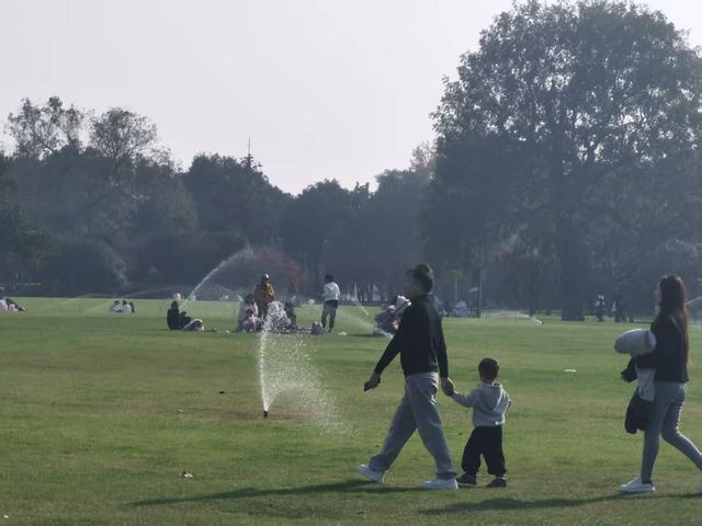 日均游客数万人，岳麓山-橘子洲成冬季旅游“治愈系”打卡地