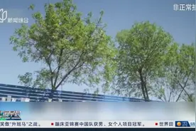 摩托车驾培机构宣称“一天拿本”？摩托车驾照考试如此容易？图片