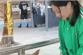 慕了！与羊驼、泰迪等宠物做“同学”，广州这个校园萌翻了！图片